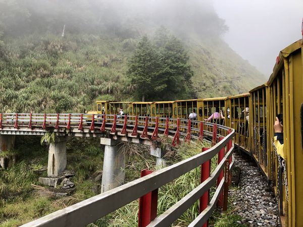 ▲▼太平山蹦蹦車。（圖／林務局提供）