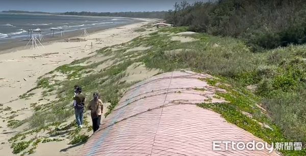 ▲台南北門雙春海岸線海岸後退嚴重，近5年海岸每年後退速率達2公尺以上，有待政府積極保護。（圖／林悅翻攝，下同 ）