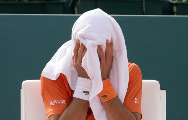▲▼ 喬科維奇（Novak Djokovic）在ATP250等級的塞爾維亞公開賽獲得亞軍            。（圖／達志影像／美聯社）