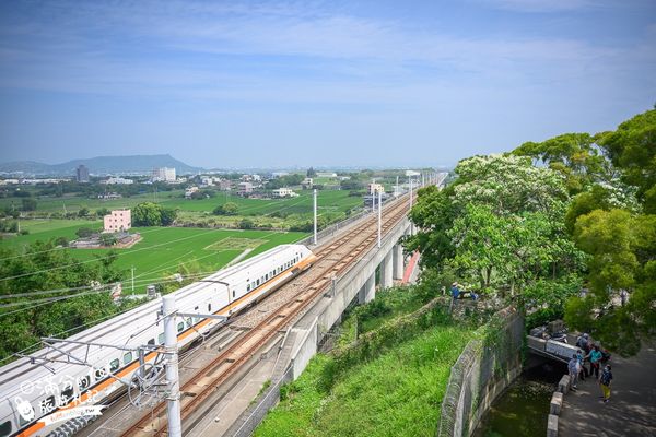 ▲▼水流東桐花步道。（圖／滿分的旅遊札記提供）