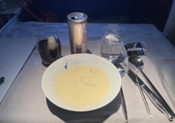 ▲▼Dara食量小「飛機餐吃不完」　向空姐道歉：不自量力點了2份。（圖／翻攝自Dara IG）