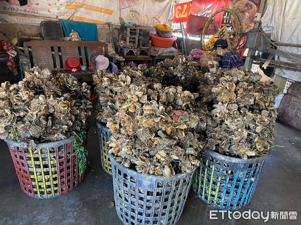 ▲台南安平牡蠣不但味道鮮美，且又有豐富營養，這段盛產季節可以多買牡蠣來吃。（圖／記者林悅翻攝，下同）