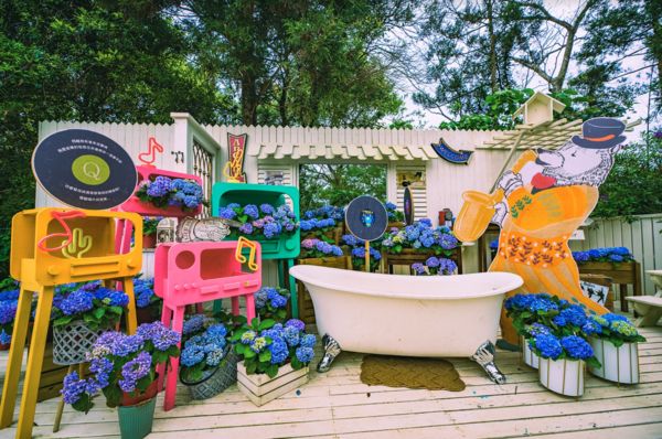 ▲薰衣草森林即日起至6/19迎來「繡球花大賞」,薰衣草森林尖石店。（圖／薰衣草森林提供）