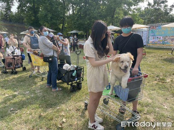 ▲全國首創國定古蹟寵物遊行，30日下午在台南山上花園水道博物館登場，寵物們的萌樣，吸引遊客目光，不時聽到好可愛喔的驚呼聲，過程趣味溫馨。（圖／記者林悅翻攝，下同）