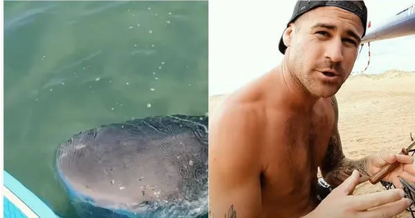 澳洲Youtuber布羅迪日前遭遇虎鯊攻擊事件。（圖／翻攝自 YBS Youngbloods Youtube頻道）