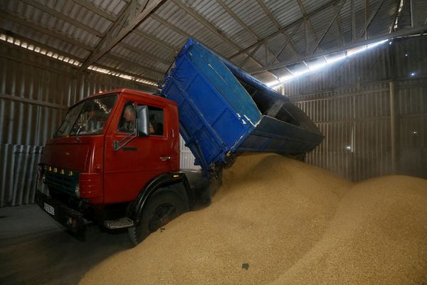 ▲▼烏克蘭基輔地區2016年夏季收割大麥期間，一輛卡車在穀倉中卸貨。（資料照／路透）