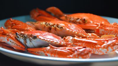 奧客用飯店熱水壺煮螃蟹　「整間都海味」遭求償5千還怒：有規定不能嗎