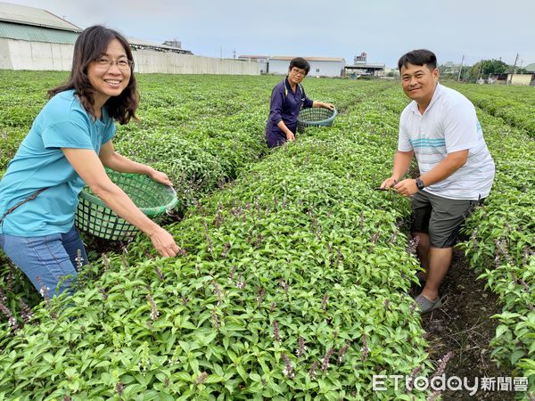 ▲樸作良食創辦人黃淑女徵求30公頃契作戶             。（圖／記者陳崑福翻攝，下同）