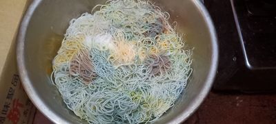 冰箱角落挖出一鍋彩虹米粉 千人驚呆:你家冰箱到底多大?