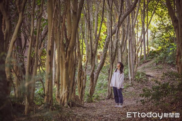 ▲中和自強公園3路線環步道 全齡共融藏身都市森林覓徑。（圖／新北市景觀處提供）