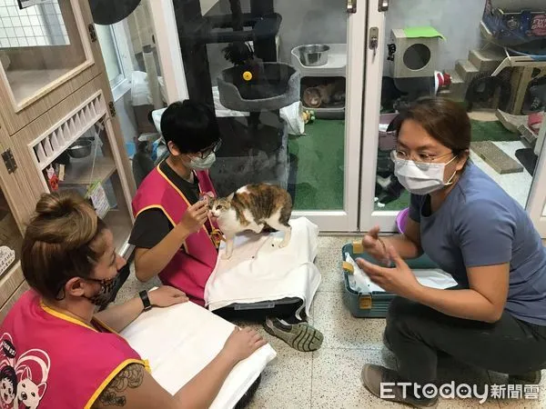 ▲台南市動物之家志工與飼主訓練講座開跑，市長黃偉哲歡迎有興趣的市民朋友搶先報名。（圖／記者林悅翻攝，下同）！