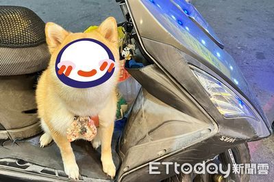 買鹹酥雞叮嚀柴看車！　她回頭被「水汪大眼」注視：雞排不辣謝謝