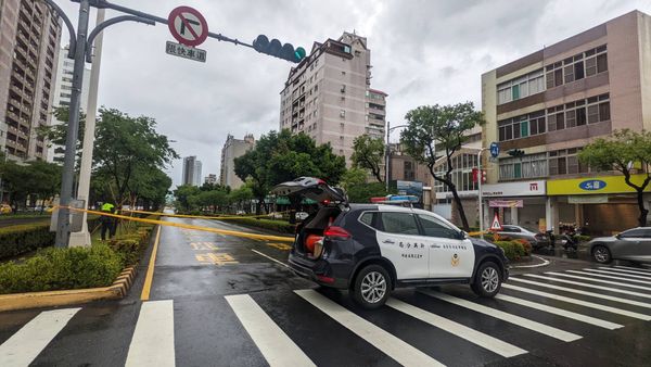 ▲▼高雄今晨瞬間暴雨釀災！路樹倒榻佔據車道。（圖／記者賴文萱翻攝）