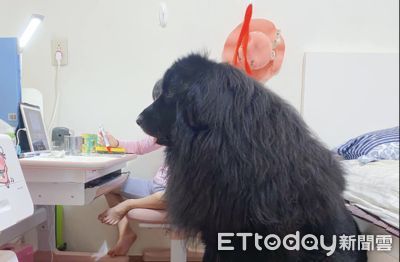居家上課遭老師點名「26號,螢幕黑黑的」 同學驚呆:怎麼會有熊