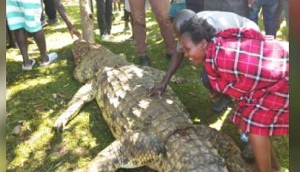 3歲童在媽面前突然被叼走　村民設陷阱逮5公尺巨鱷「剁碎肉洩恨」。（圖／翻攝自肯亞The Standard網站）