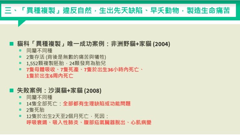 ▲▼台大要買「10多隻家貓」代孕繁殖石虎？　動團怒轟視生命如兒戲。（圖／台灣動物社會研究會提供）