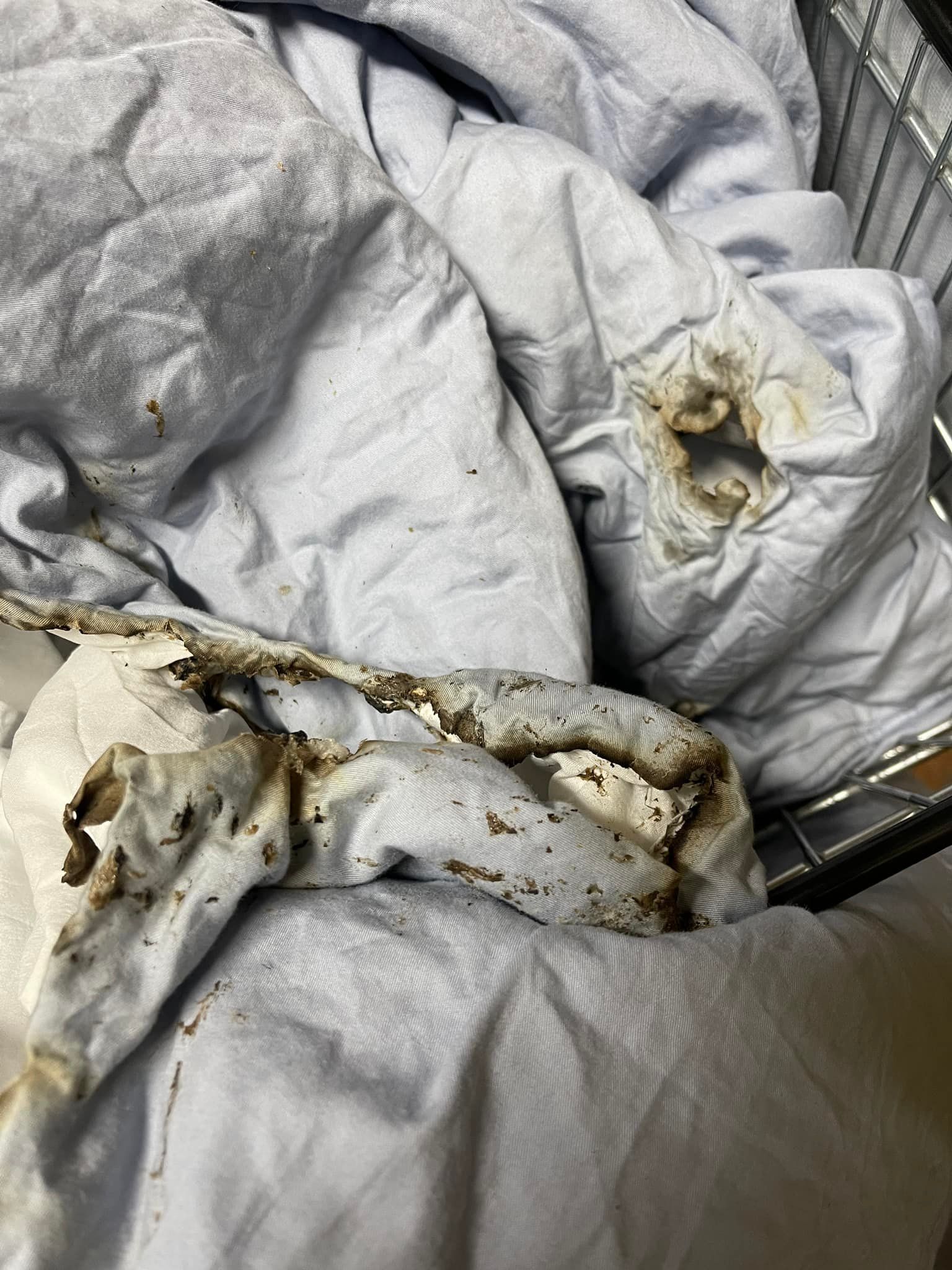 ▲▼             。（圖／翻攝爆怨2公社）