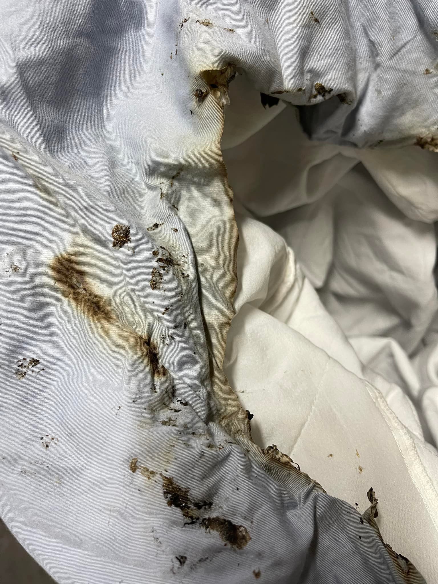 ▲▼             。（圖／翻攝爆怨2公社）