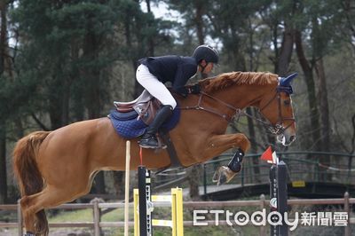 杭州亞運最年輕馬術國手　明道中學17歲林子嚴苦練有成