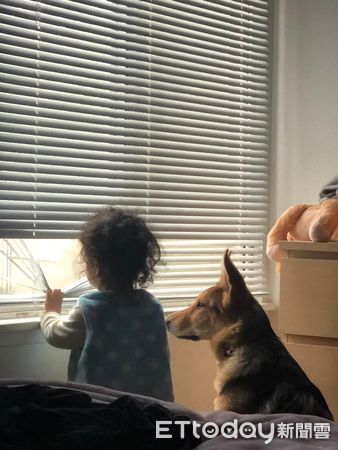 狗狗跟寶寶一起看電視。（圖／飼主Pamela Lam提供）