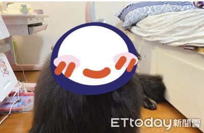 黑熊同學被迫陪寫功課!媽進房驚見「垂眉病患」好哀怨:在手術?