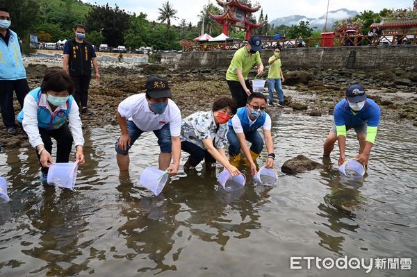 ▲▼富岡保育區內完成污水接管工程，縣府辦理流放2萬4千尾嘉鱲魚苗活動。（圖／台東縣政府提供，下同）