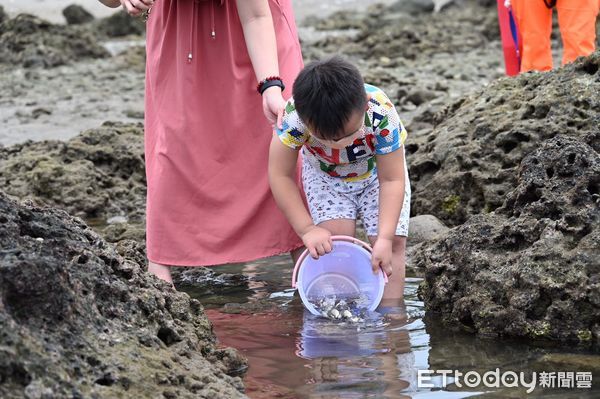 ▲▼富岡保育區內完成污水接管工程，縣府辦理流放2萬4千尾嘉鱲魚苗活動。（圖／台東縣政府提供，下同）