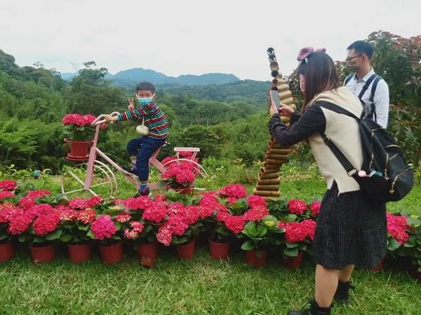 ▲怡德休閒農莊種植許多繡球花，還有裝置藝術+鮮果迎賓。（圖／記者楊淑媛攝）
