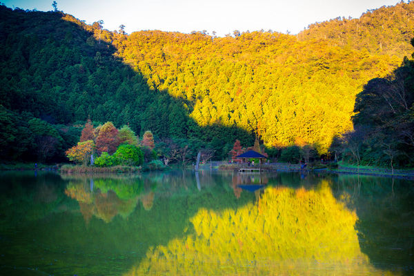 ▲▼力麗馬告生態園區 明池湖，花蓮力麗華美達安可酒店，儷山林會館-日月潭館。（圖／力麗觀光提供）