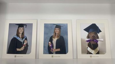 爸媽幫「3孩拍畢業照掛牆上」　最右邊那位什麼專業畢業的？