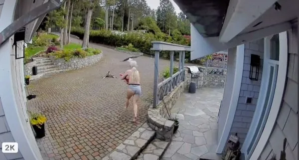 寵物鵝被老鷹叼走　辣媽「手抱喝奶娃」穿內褲相救！裸奔片瘋傳。（圖／翻攝自TikTok／frankythegoose）