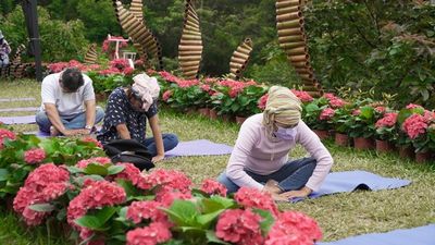 桃園繡球花季5／28-29日「枕頭山購樂趣週」　農特產品1元競標