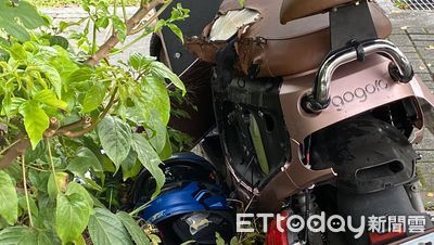 情侶騎車闖紅燈「被客運猛撞」　噴飛又撞違停特斯拉1死1傷