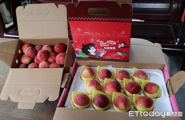 ▲廣受好評的信義鄉紅玉甜桃進入5月產季。（圖／南投縣政府提供）