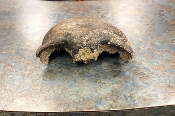 ▲美國明尼蘇達州民眾划船發現8000年頭骨。（圖／翻攝倫維爾郡警長辦公室）