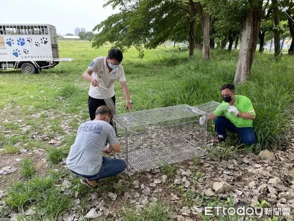 ▲台南永康區二王公墓傳出野狗衝撞機車，導致人車倒地，機車騎士右小腿骨折的意外，台南市動保處查處派員前往該處抓捕。（圖／記者林悅翻攝，下同）