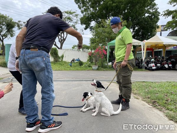 ▲台南市動保處與社團法人中華民國保護動物協會合作，鼓勵民眾踴躍認養毛小孩，讓更多的流浪毛孩被認養出去。（圖／記者林悅翻攝，下同）