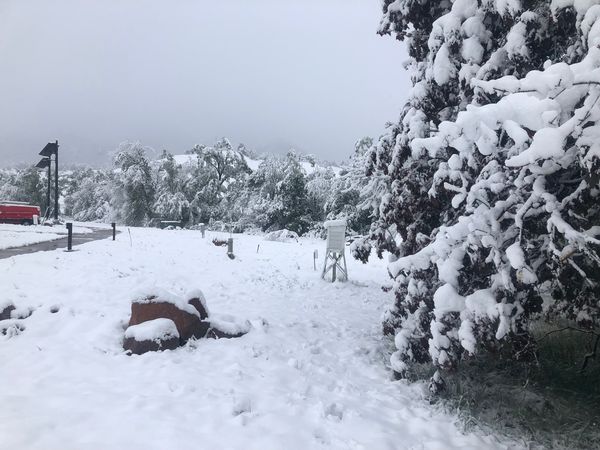 ▲▼科羅拉多州波德（Boulder）氣象站5月21日上午7時觀測到8.3英吋（21公分）深的罕見積雪。（圖／翻攝自推特@mattkelsch）