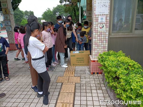 ▲▼三芝女教師在路邊發現極罕見動物 。（圖／動保處提供）