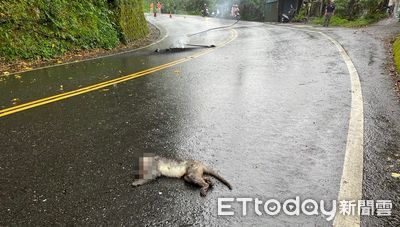 北宜3貨車閃火花連環追撞　疑獼猴扯斷電線陳屍路中