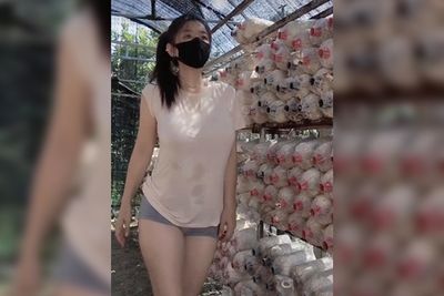 火辣女菇農「爆汗工作」！熱到衣服濕一半　身分曝光網嗨了