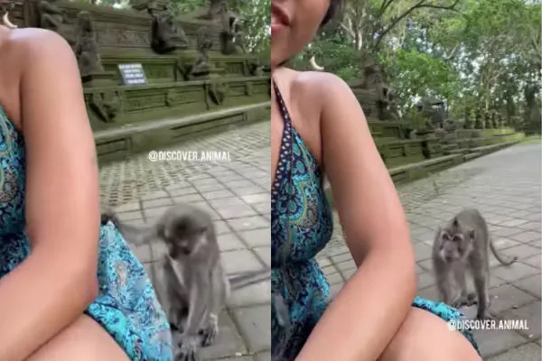 ▲▼正妹遭「色猴猛掀裙」狂看。（圖／翻攝自IG／naturre）