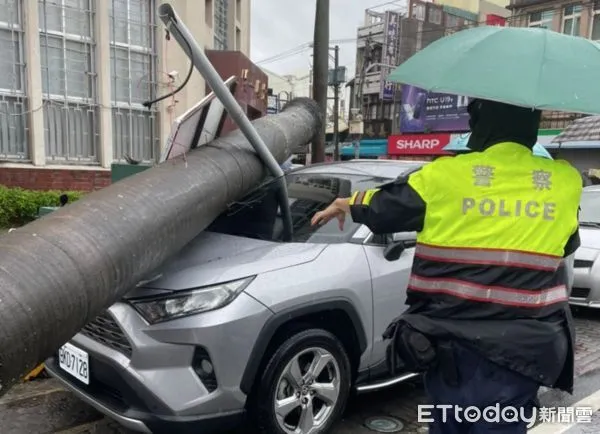 ▲強降雨勢造成老街椰子樹橫躺路中，西螺鎮公所快速排除路障通車。（圖／記者蔡佩旻翻攝）