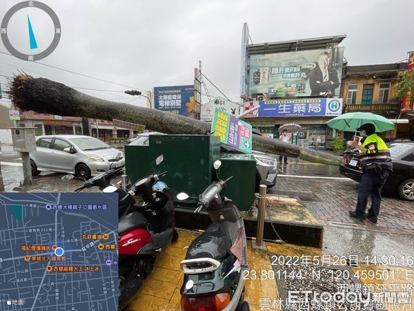 ▲強降雨勢造成老街椰子樹橫躺路中，西螺鎮公所快速排除路障通車。（圖／記者蔡佩旻翻攝）