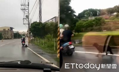 苗栗黑狗遭「騎車拖行」帶去棄養　大步奔跑想跟飼主一起回家