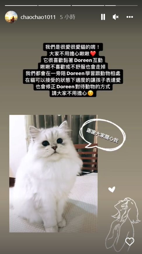 ▲趙孟姿分享女兒跟貓咪互動引來網友討論。（圖／翻攝自Instagram／chaochao1011）