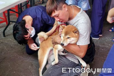 嘉義市犬貓狂犬病疫苗預防注射優惠　5／30起2000劑打完為止