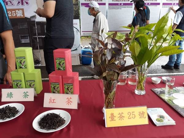 ▲茶改場119場慶，帶領台灣綠金產業邁向國際