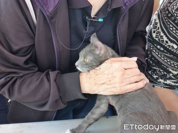 ▲▼ 嘉義市犬貓狂犬病疫苗預防注射優惠活動 。（圖／嘉義市政府提供）