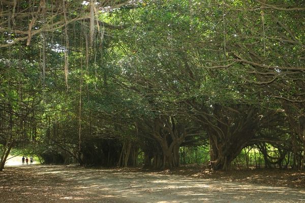 ▲▼長勝營區。（圖／Go阿綸旅人狂潮授權提供，下同，請勿隨意翻攝以免侵權）